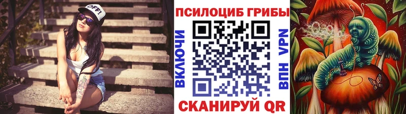 Купить где  Дмитриев  Псилоцибиновые грибы прущие грибы 